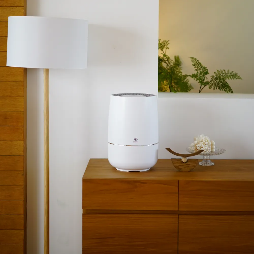 Air Purifier   Humidifier