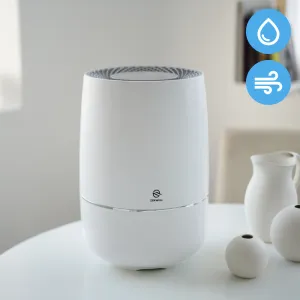 Air Purifier   Humidifier