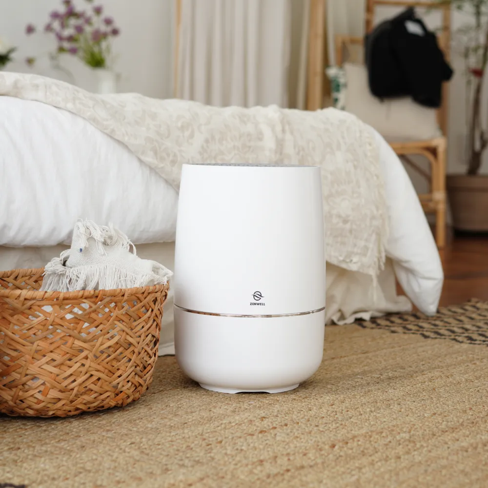 Air Purifier   Humidifier
