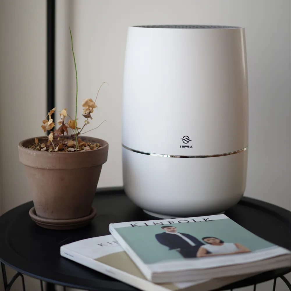 Air Purifier   Humidifier