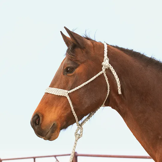 Classic Equine Braided Rope Halter with Lead- Grey