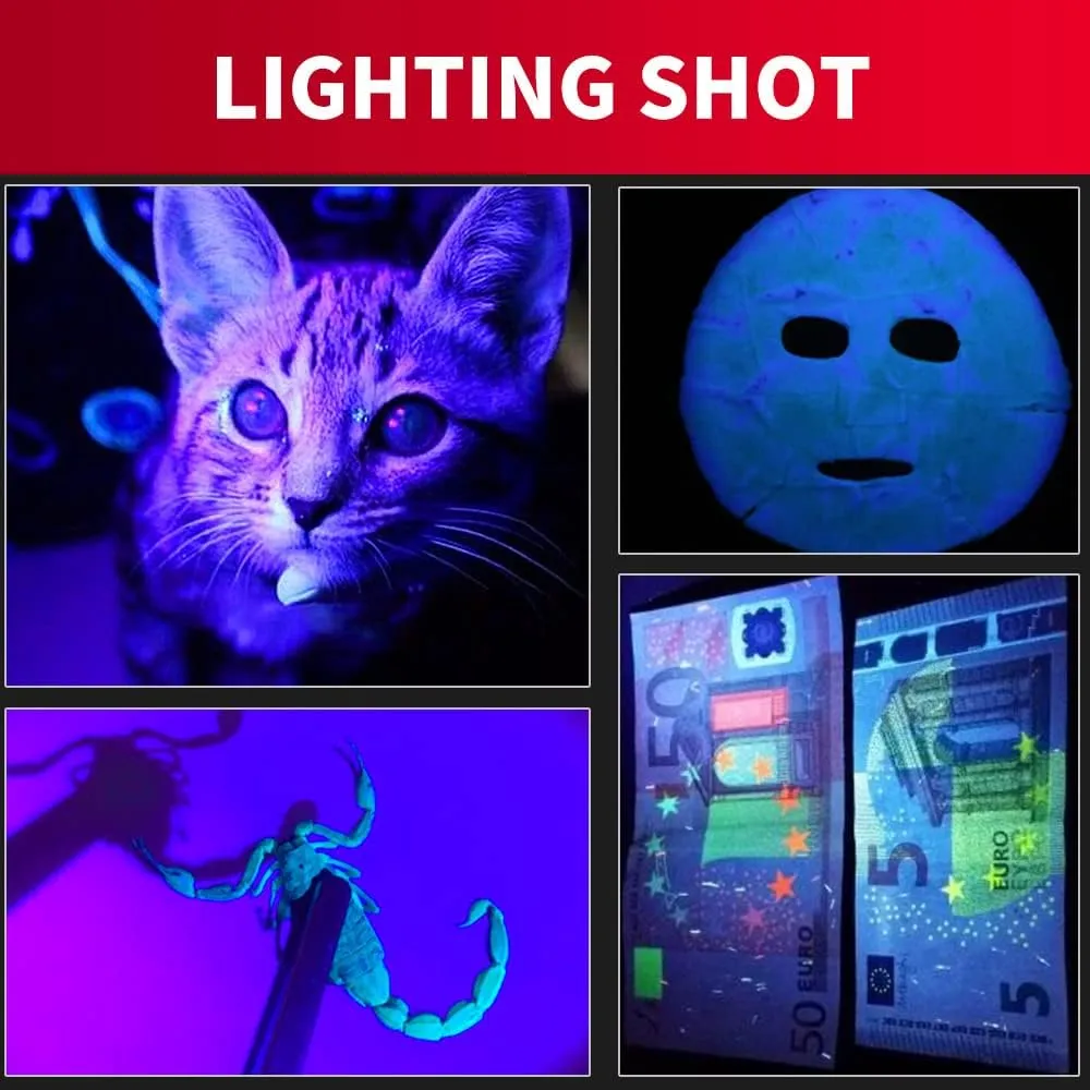 Fly Tying UV Clear Glue and Power Light Combo Three Bottles Thick Thin and Soft  12 LED Light for Building Flies Heads Bodies Wings and Gluing Eyes