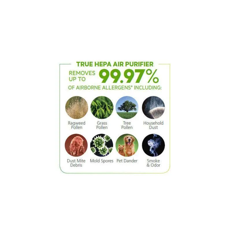 Holmes True HEPA Smart WEMO Enabled Air Purifier