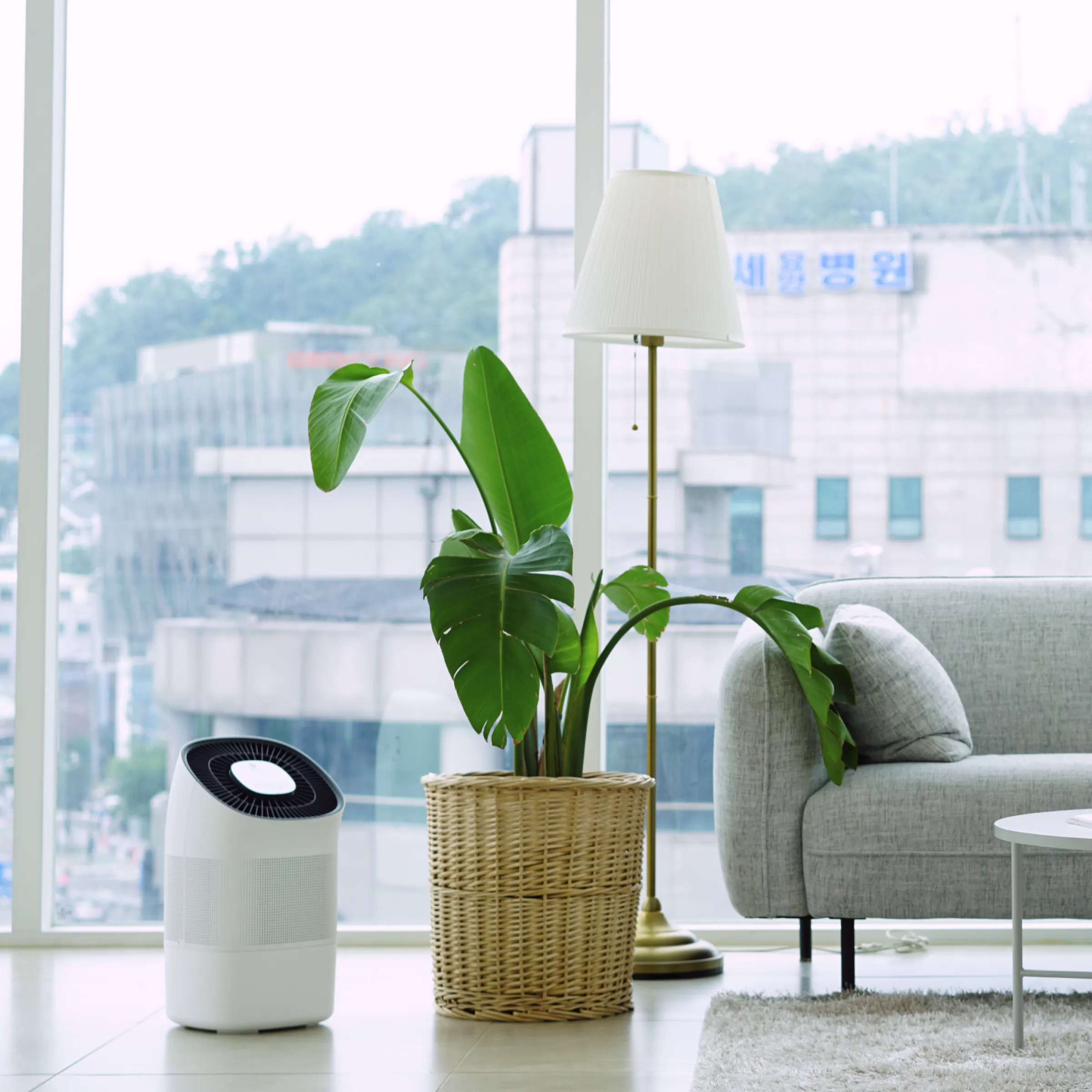 Super Air Purifier   Humidifier Smart