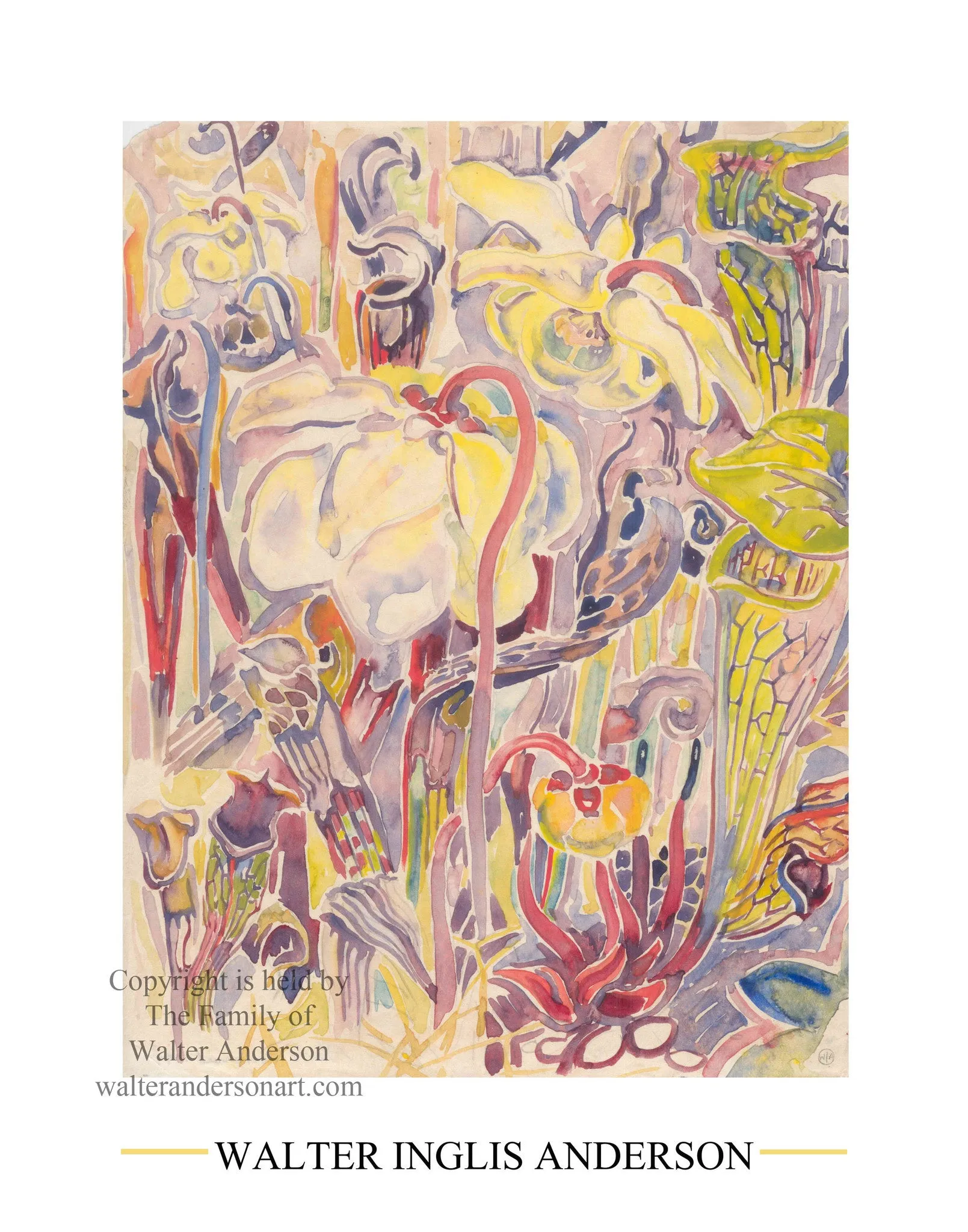 Watercolor Pitcher Plants Poster